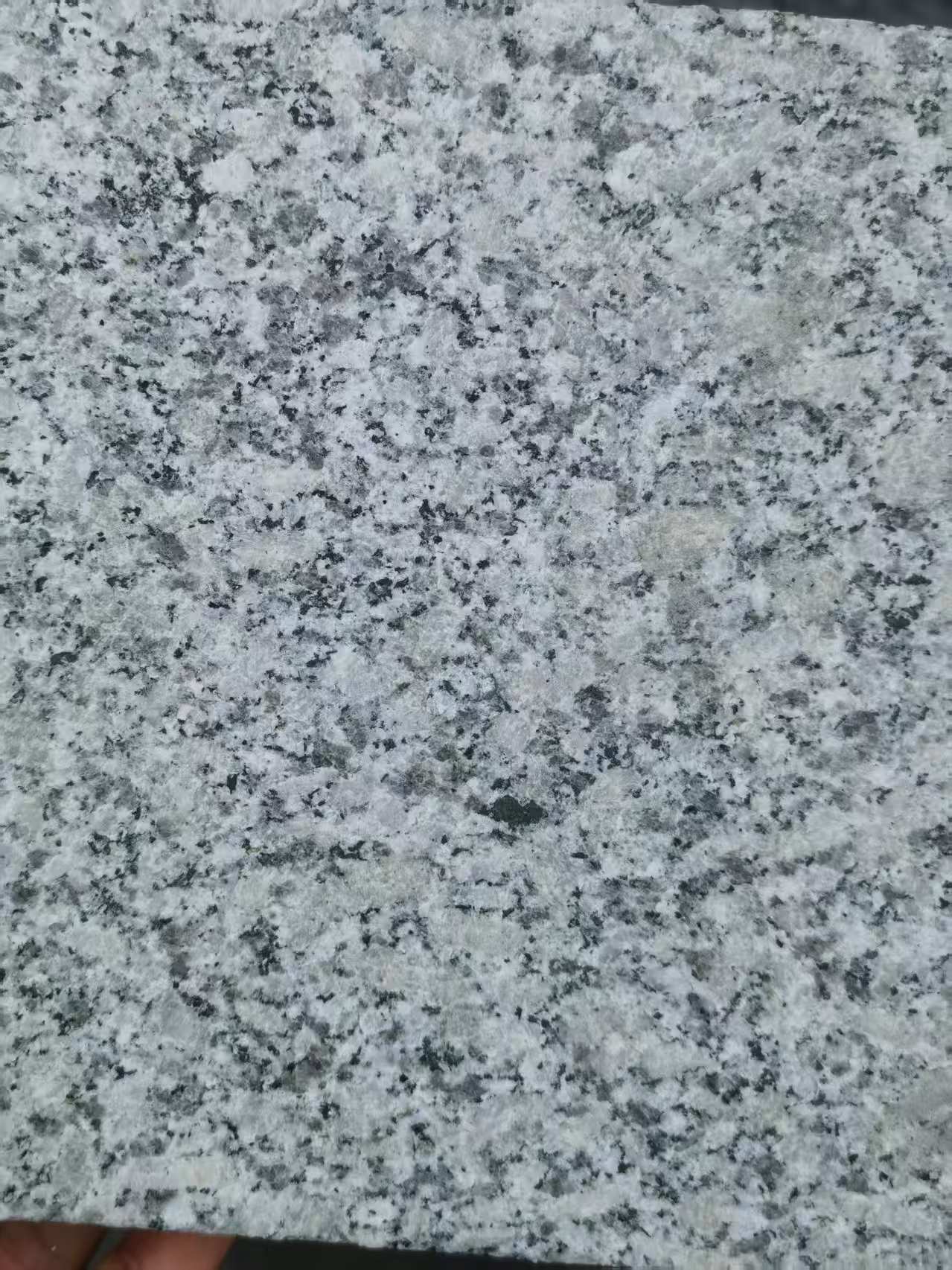 白银 芙蓉白火烧面